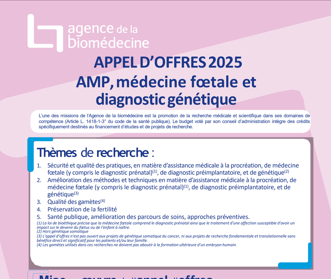 AOE 2025 AMP